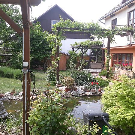 Pension Zeleny Strom Mikulov Luaran gambar